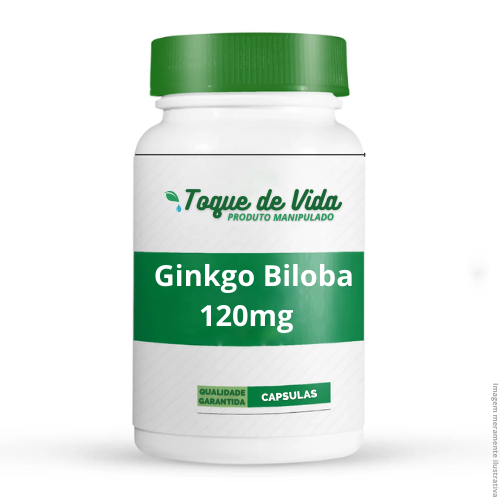 GINKO BILOBA 120mg